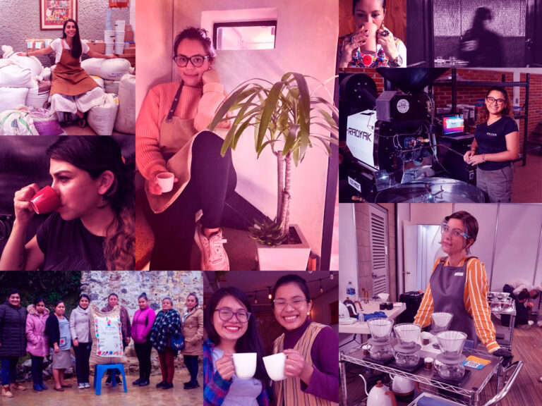 Muejres en la industria del café. Cafeterías, blogs, tostadoras, productoras, emprendedoras. México.