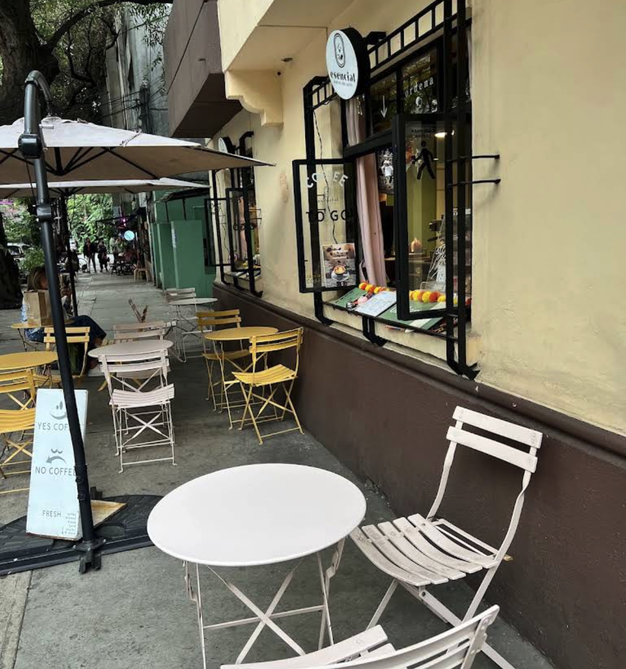 Esencial Barra de Café Condesa, cafetería de especialidad con espresso, métodos V60, cold brew y pan dulce en la colonia Hipódromo, Ciudad de México.