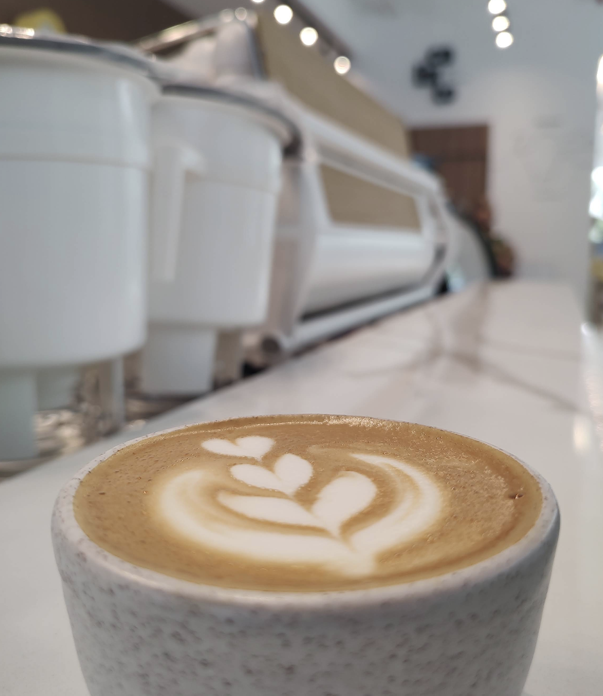 Café en Calixto Granada, una cafetería de especialidad en Ampliación Granada, CDMX.